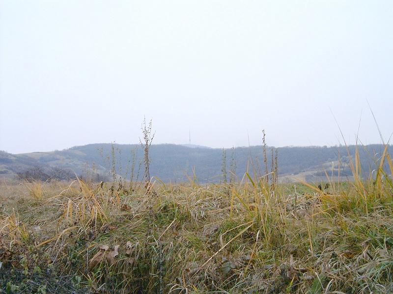 20111210 033.jpg
